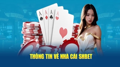 Shbet - Địa chỉ với dịch vụ giao dịch siêu nhanh chóng chỉ với 30s